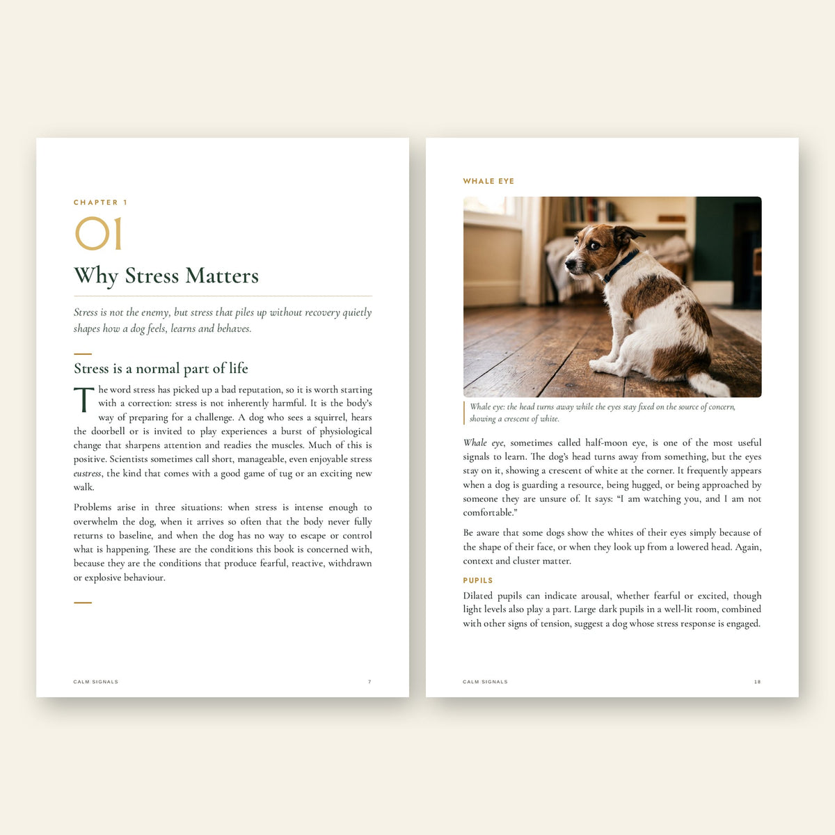 Inside Calm Signals: chapter opener and illustrated page on whale eye