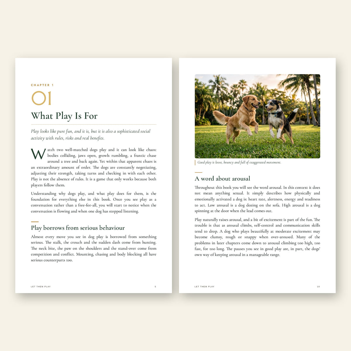Inside Let Them Play: chapter opener and illustrated page on dog play