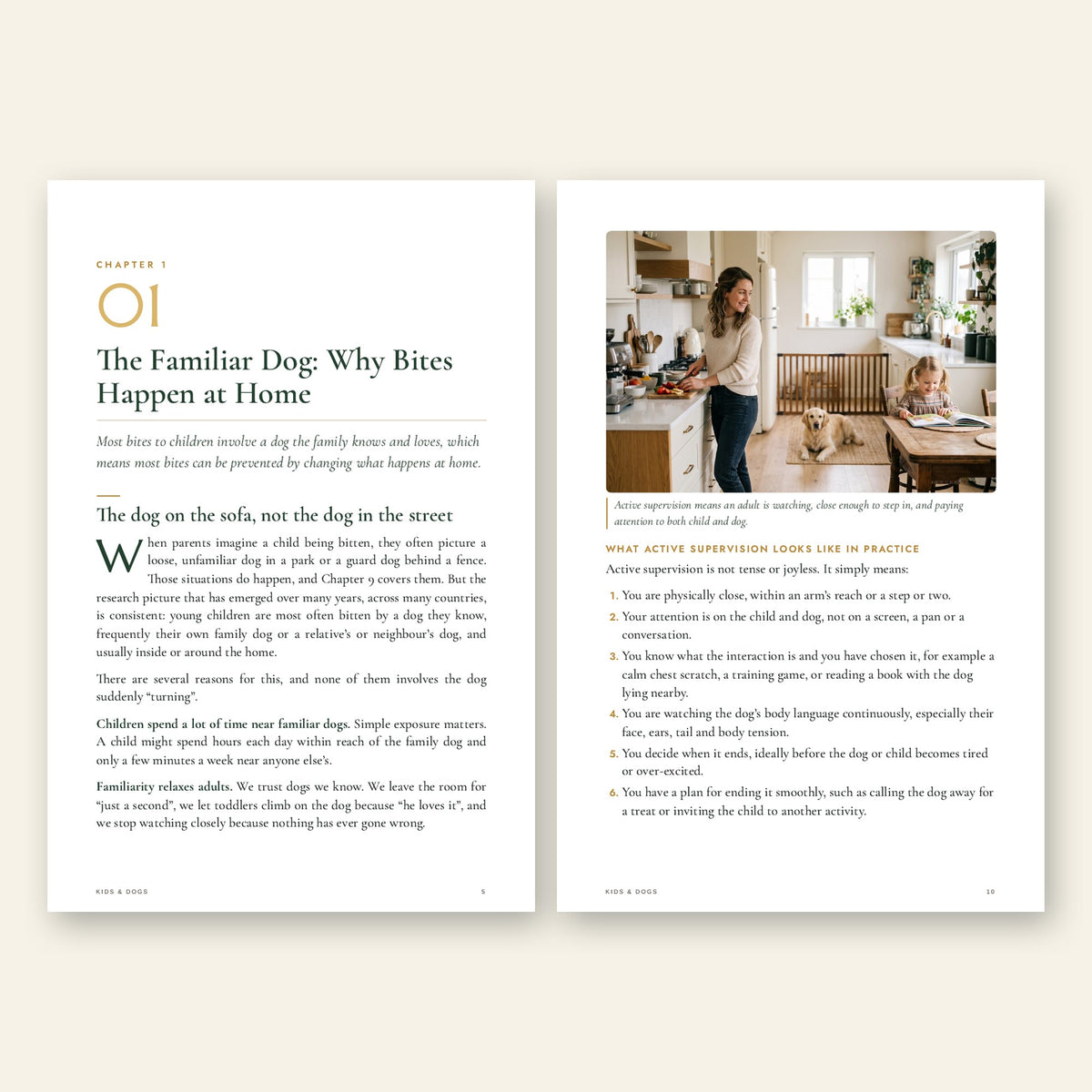 Inside Kids & Dogs: chapter opener and illustrated page on supervision